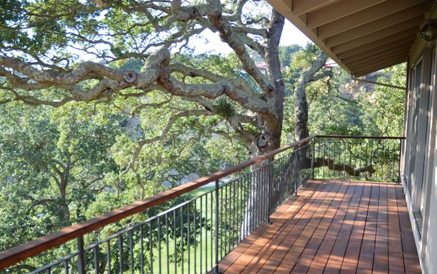 Deck With Oak Tree