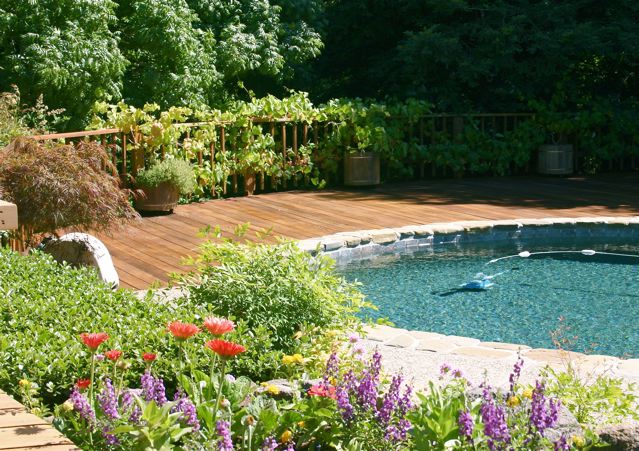 Deck Restoration With Pool