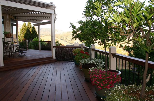 Ipe Wood Deck